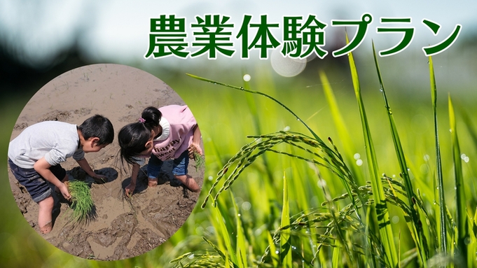 【農業体験プラン】世界に１つのお米をつくろう！田植え体験＆オリジナルラベル新米つや姫送付サービス付
